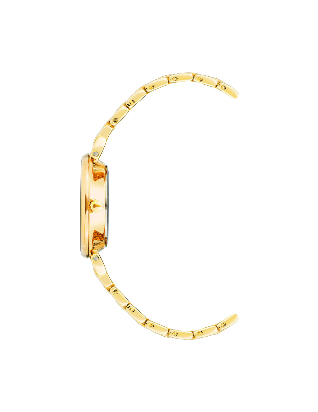 Roman Numeral Dial Watch