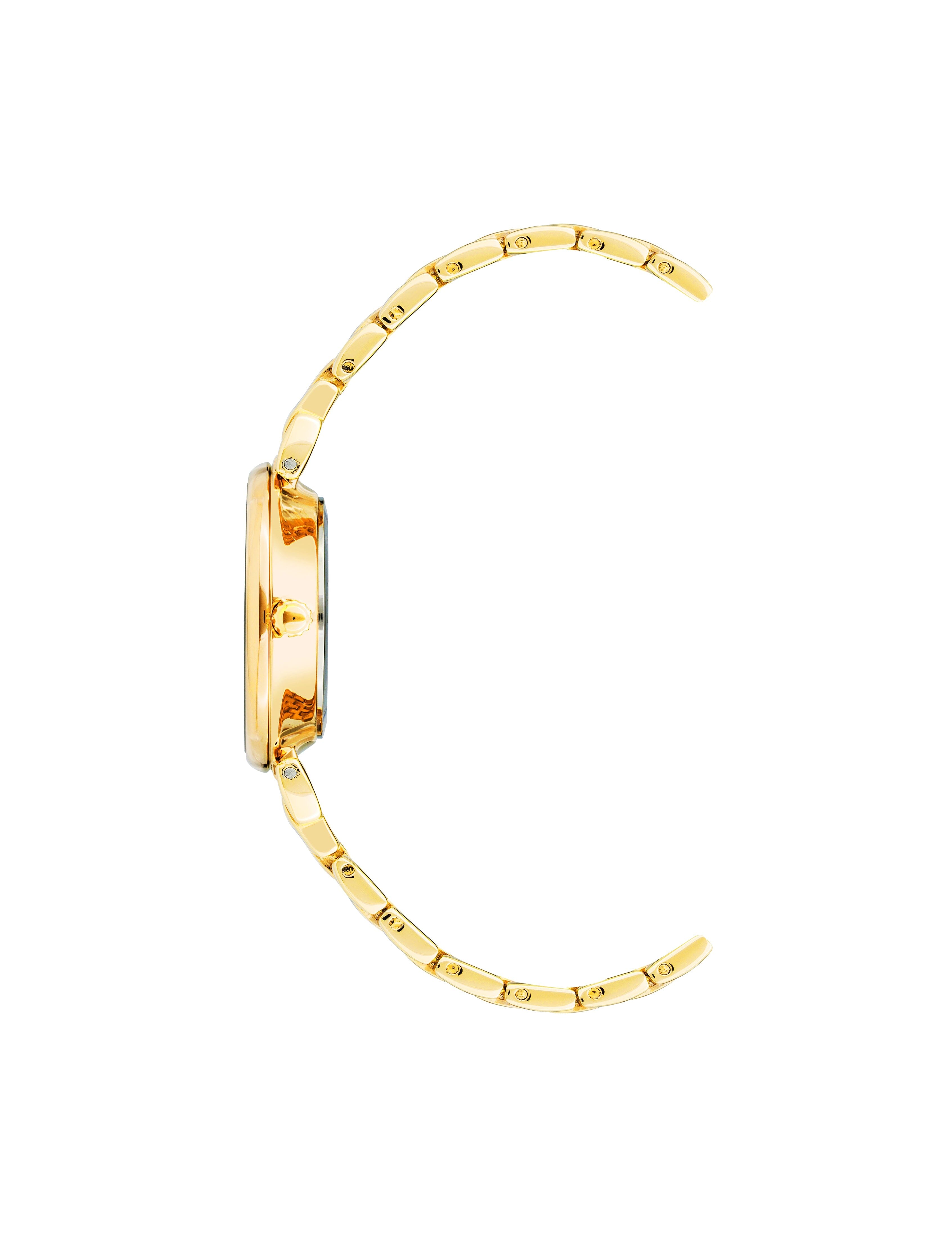 Roman Numeral Dial Watch