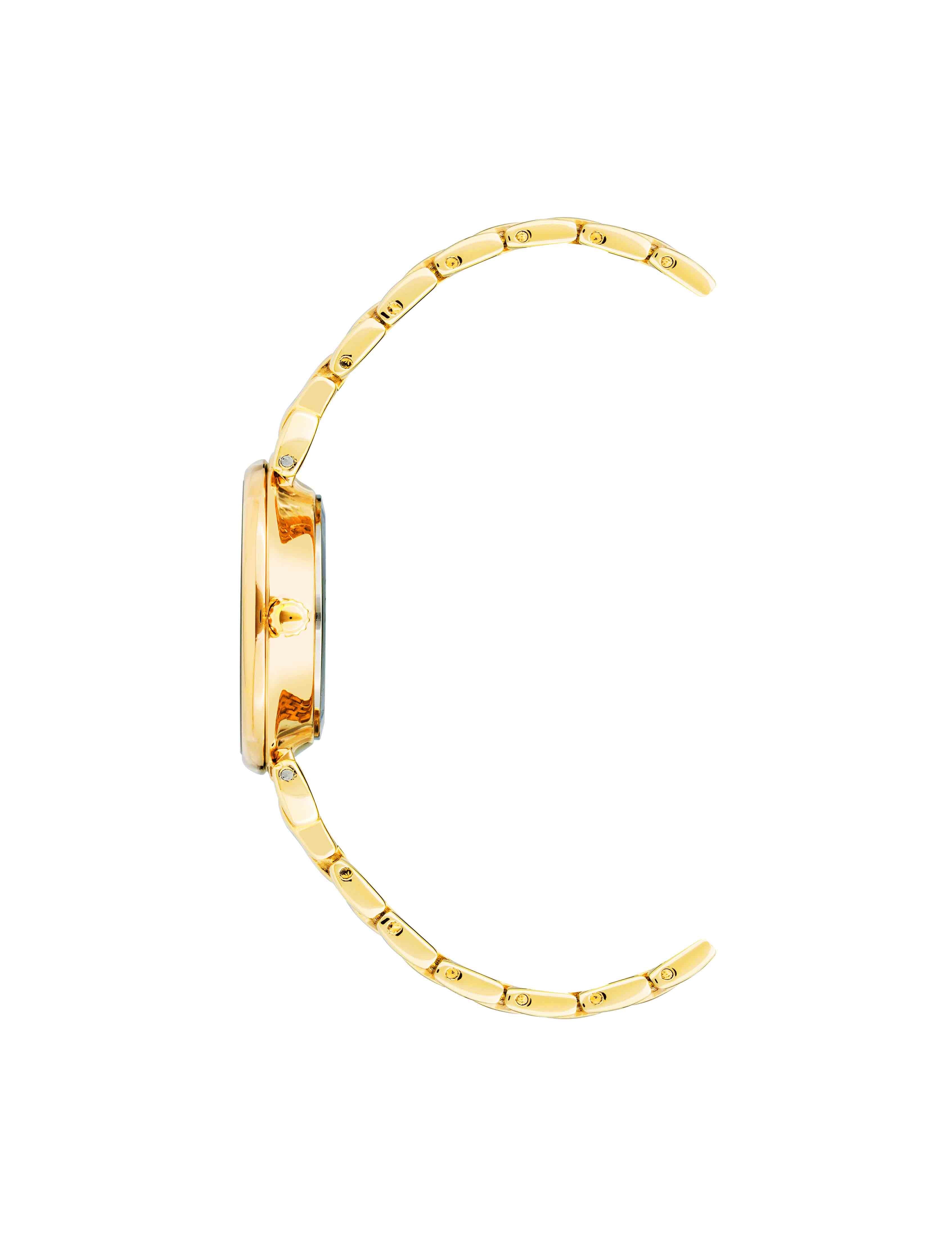 Roman Numeral Dial Watch