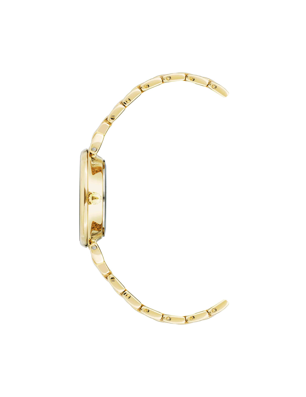 Roman Numeral Dial Watch