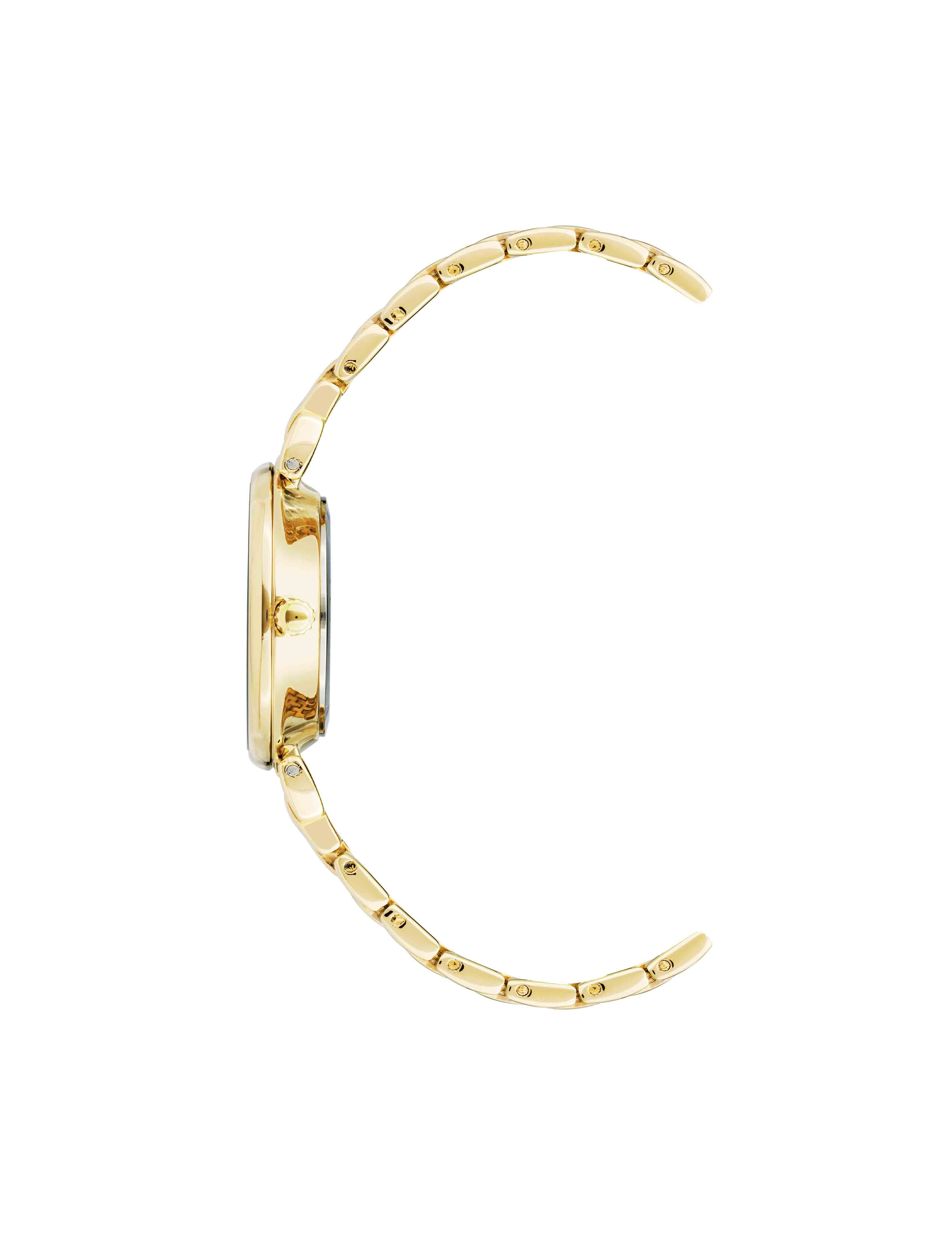 Roman Numeral Dial Watch