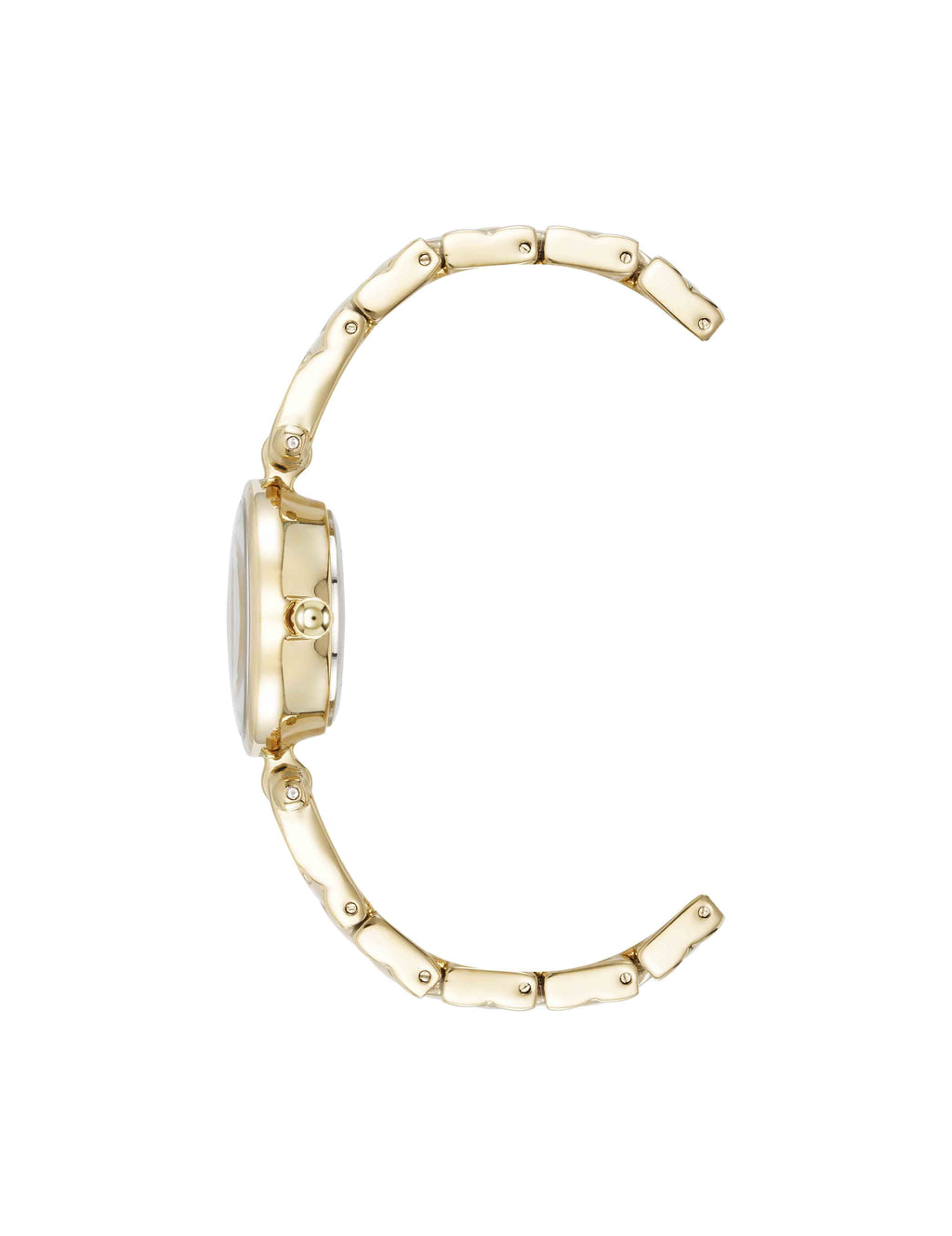 Crystal Accented V-Link Watch