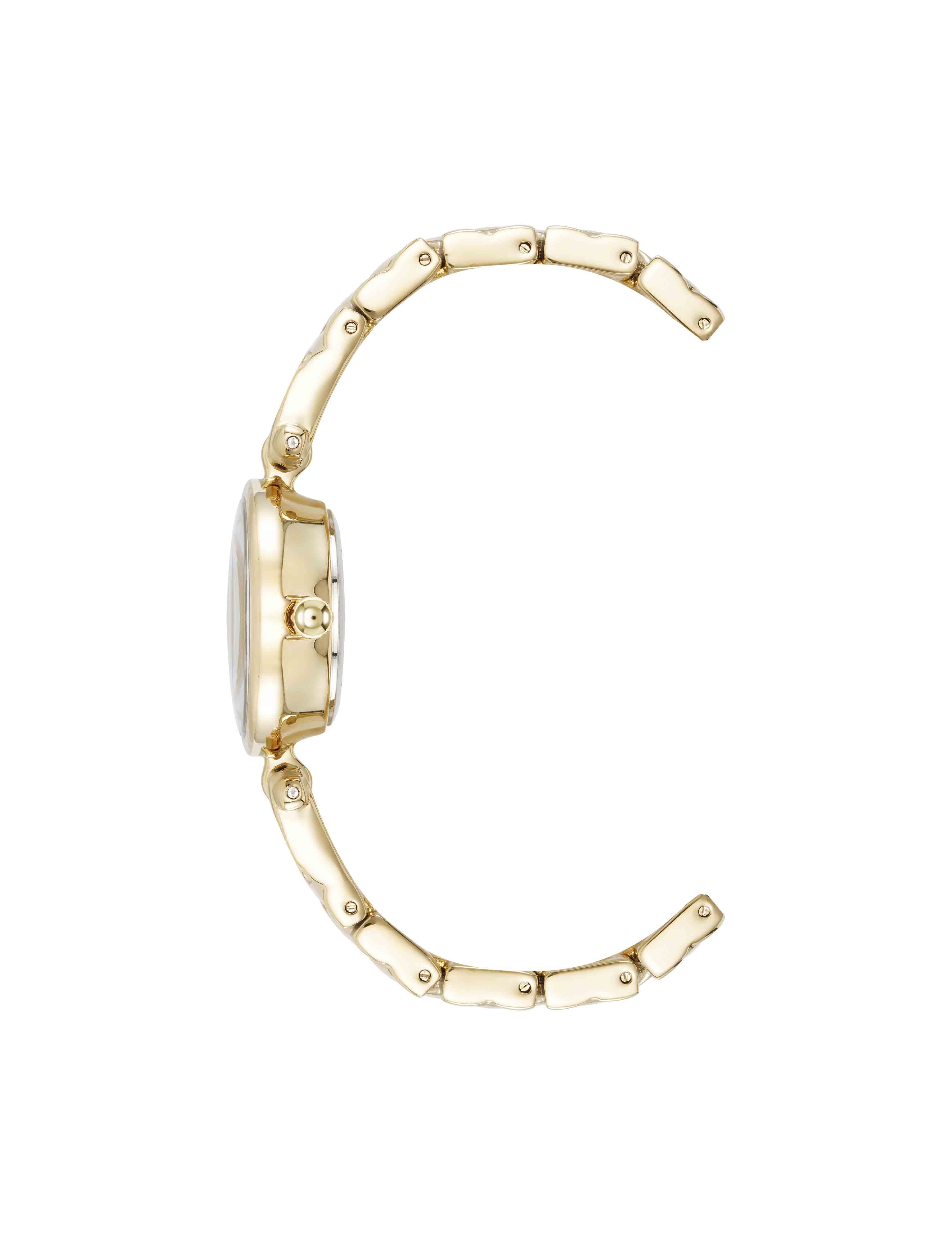 Crystal Accented V-Link Watch