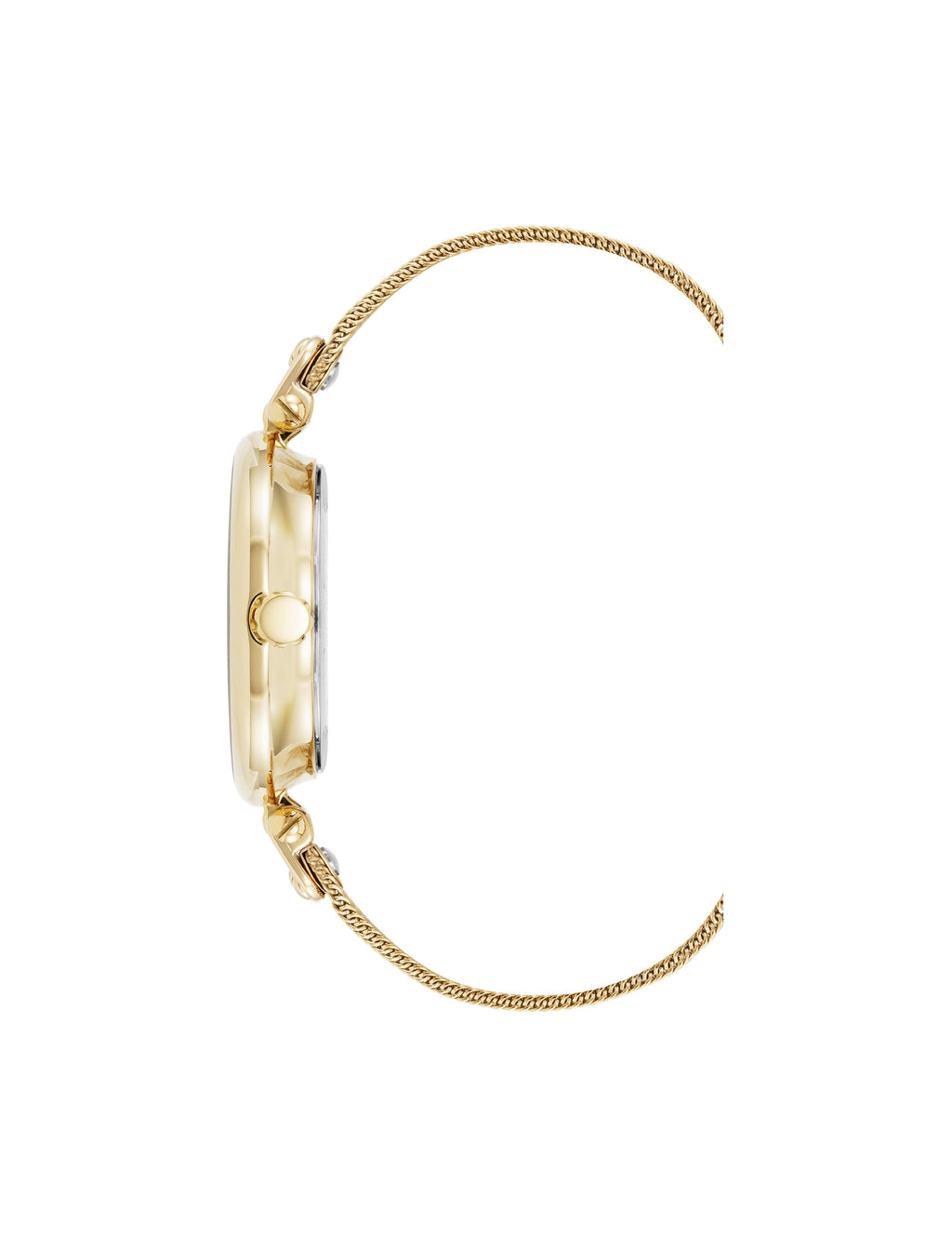 Timeless Mesh Bracelet Watch