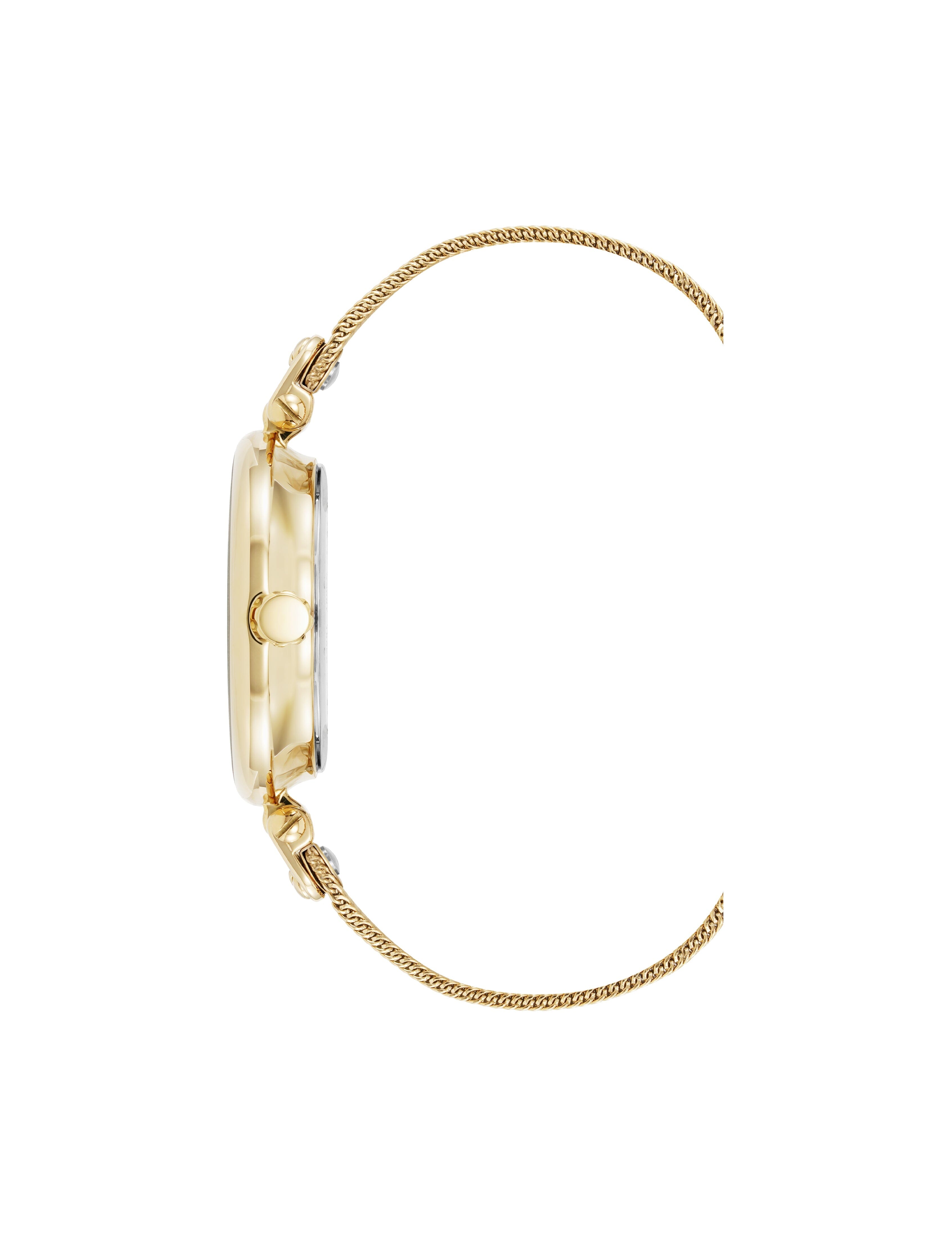 Timeless Mesh Bracelet Watch