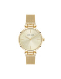 Timeless Mesh Bracelet Watch